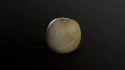 3D Scan Kiwi Low-poly 3D model