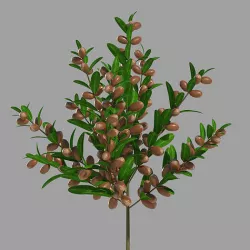 Argan plant 3D model