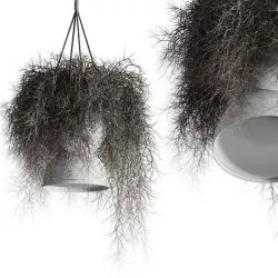 birds nest with pendant lights Low-poly 3D model