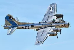 Boeing B-17 Flying Fortress 3D model