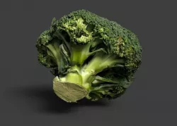 broccoli 3D model