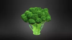 Broccoli Low-poly 3D model
