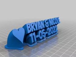 Bryan & Nicole Wedding