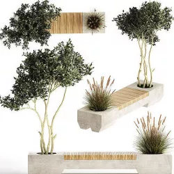 Bushes and tree for landscaping and urban environment 1145 3D model