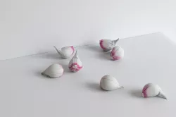 Garlic 003 3D model