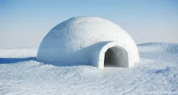 Igloo 3D model