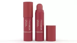 Lipstick 3D model