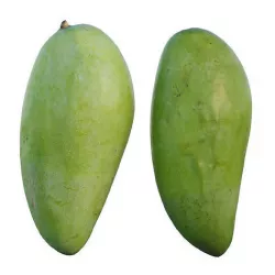 mango 02 3D model