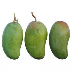 mango 03 3D model