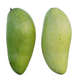 mango 3D model