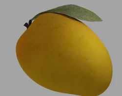 Mango 3D model