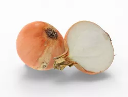 Onion Low-poly 3D model