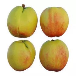 peach 10 3D model