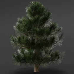 pine tree 3D model