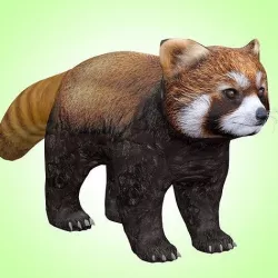Red Panda Rig Low-poly 3D model
