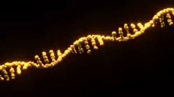 RNA Helix 3D model