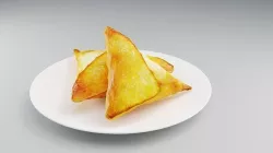 SAMOSA Low-poly 3D model