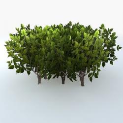 bush shrub 1 3d models 【 STLFinder