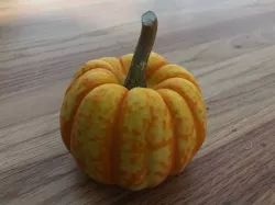 Small Pumpkin Photogrammetry Scan