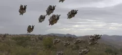 Swarm of Alien Sci fi Ships 3D model
