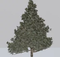 Tree 3D Models Low-poly 3D model