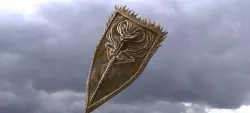 Angel Shield 3D model