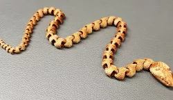 Articulated Snake with Scales