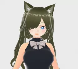 Asian Girl Cat Kitty 3D Model Rigged T Pose Shape Keys 3D model