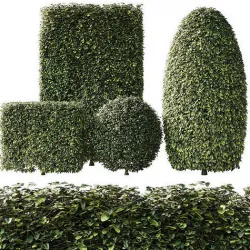 Bush Collection Shrubs cube oval circle  rectangle 3D model
