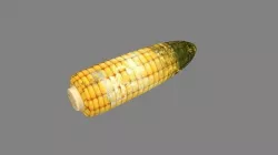 Cartoon moldy corn on the cob Low-poly 3D model