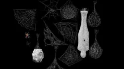 Cobweb collection Low-poly 3D model