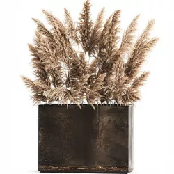 Decorative Pampas Grass In A Rusty Pot 3D model