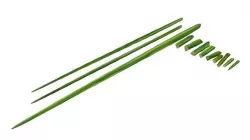 drumstick vegetable 3D model