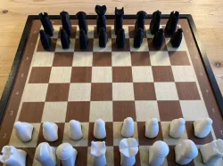 EasyGrip Modern Design Chess Set