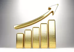 growth bar chart  3D model