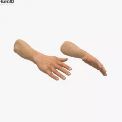 Male Hands 3D model