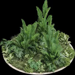 Plants collection 777 3D model