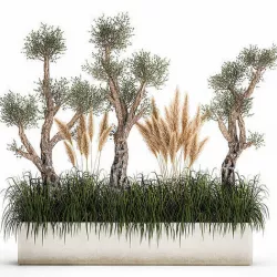 Plants for outdoor and landscaping 1065 3D model