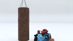 Punch Bag and Boxing Gloves  3D model