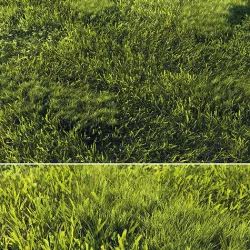 Scanned real grass01 Low-poly 3D model