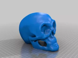 Skull