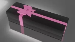Squid Game Coffin 3D model