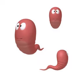 Worm Cartoon 3D model