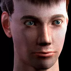 3D male head with texture 3D model