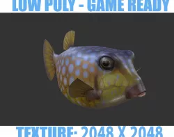 Bo Hom  Low-poly  3D model