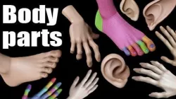 body parts 3D model