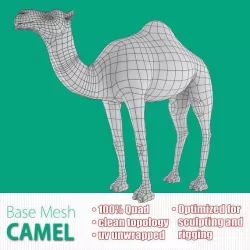 Camel Base Mesh Low-poly  3D model