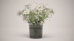 Daisies 3D model