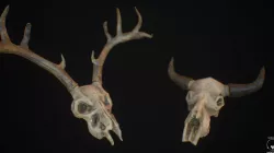 Decorative Skulls- Cow and Deer Low-poly  3D model