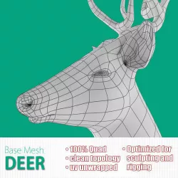 Deer Base Mesh Low-poly  3D model